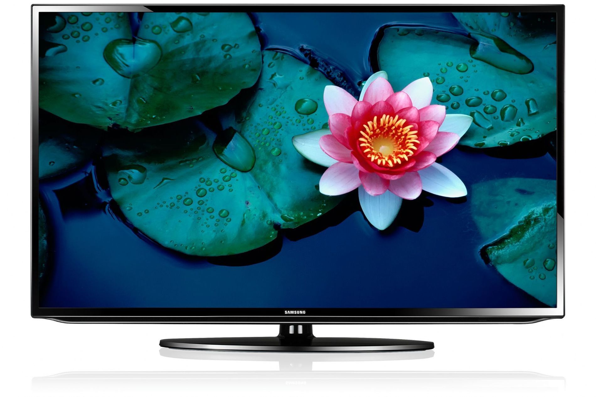 television redcoon 3