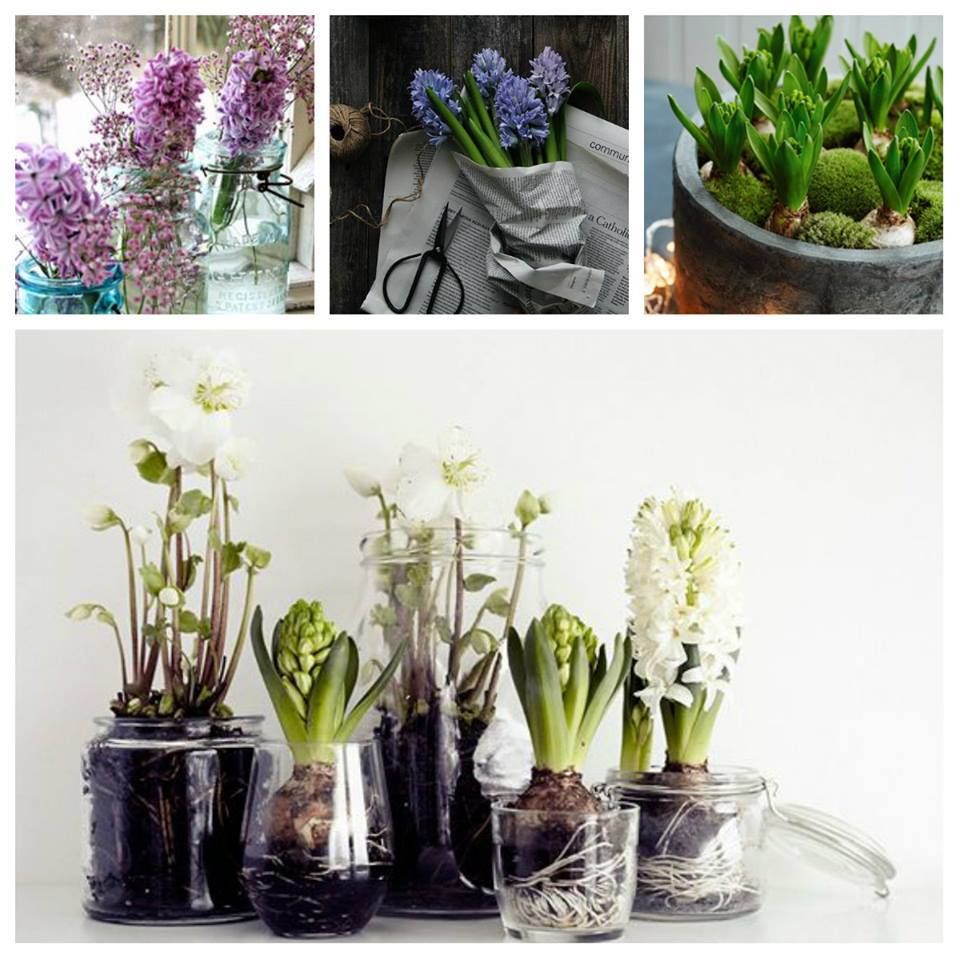 Euroflorist kod rabatowy