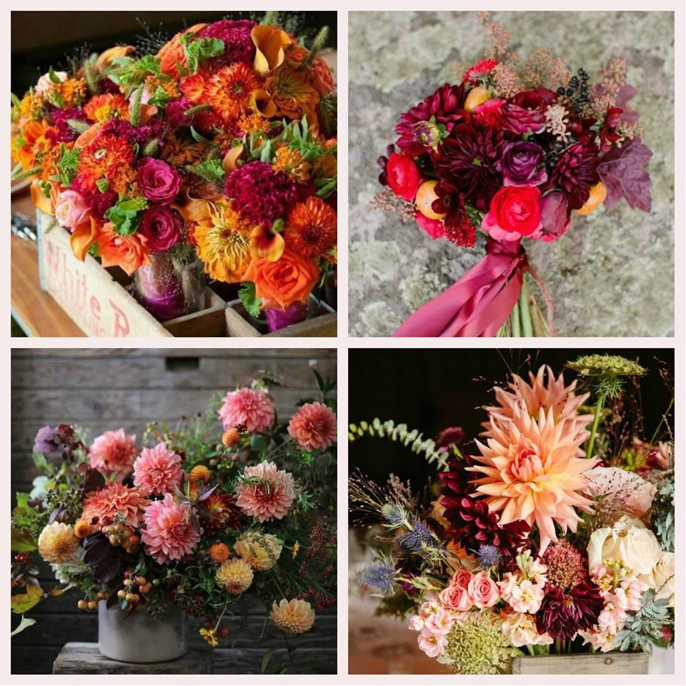 Euroflorist kod rabatowy