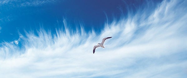 Codice Promo Meridiana