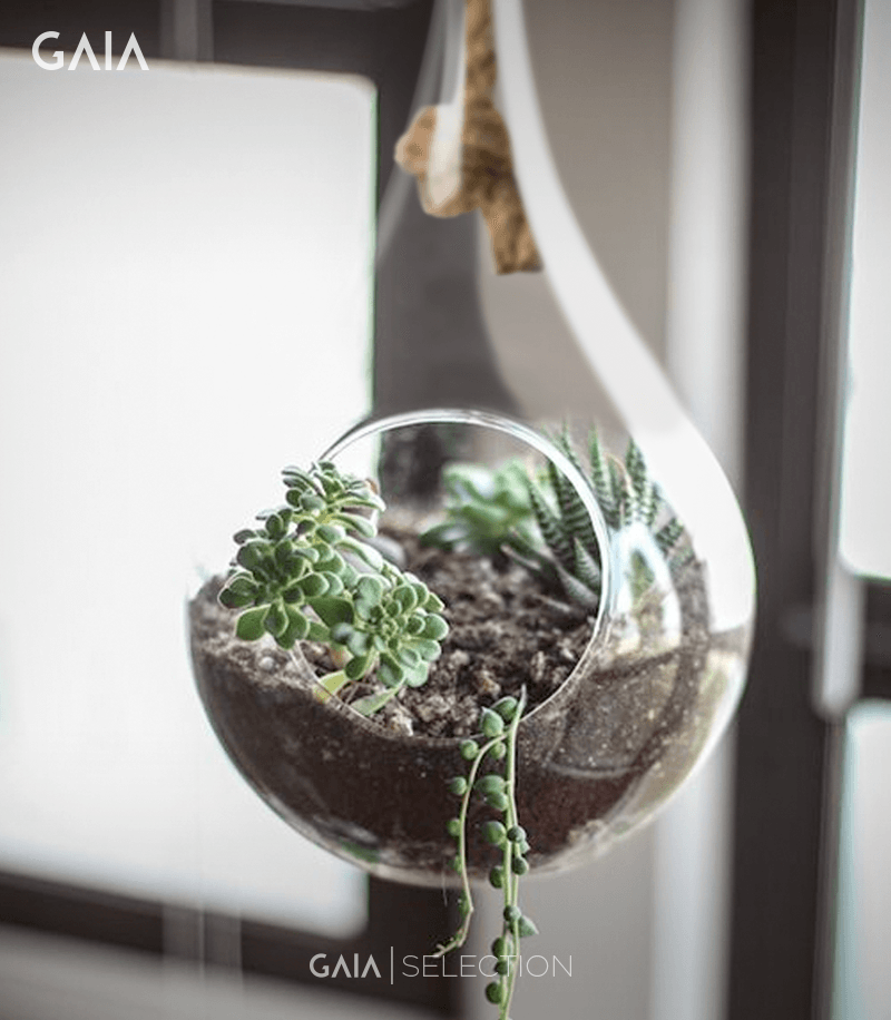Cupón de descuento Gaia Design Promociones y Ofertas Gaia Design