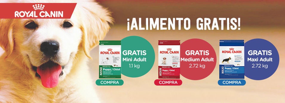Cupones Petngo= Ofertas Petngo
