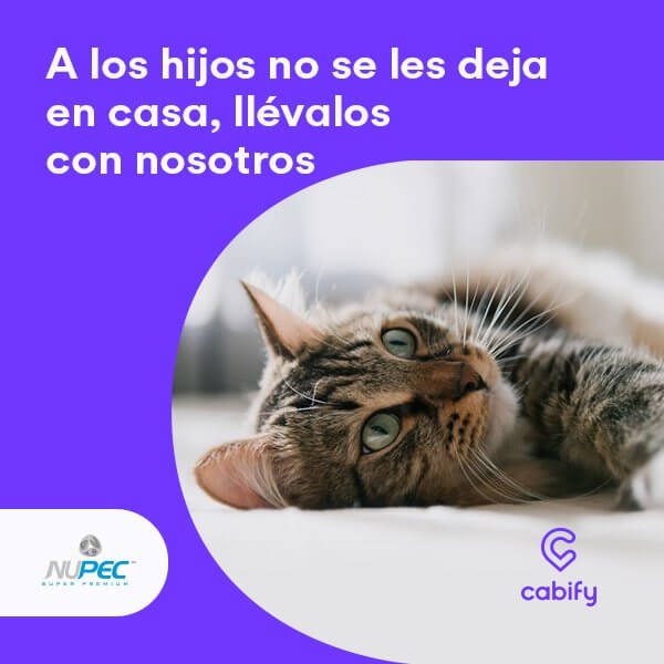 codigo cabify cabify para tu mascota